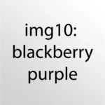 Image of Panbasic Microfiber Polo, P703 AIRtec Quick Dry Polo (UNISEX)  in blackberry-purple